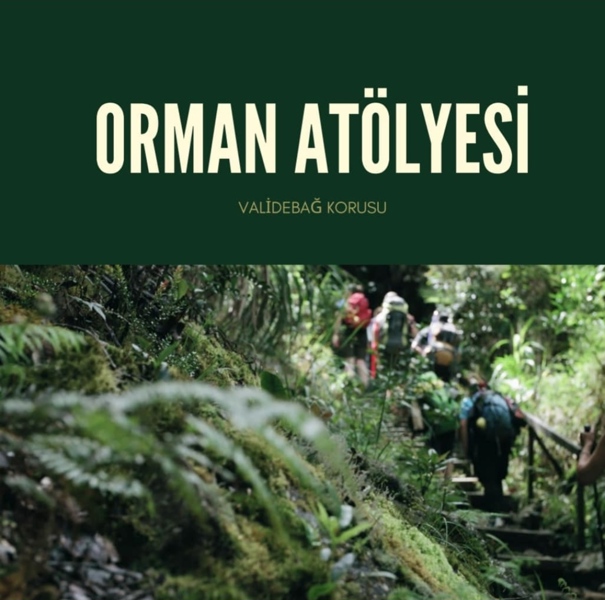 orman-atolyesi