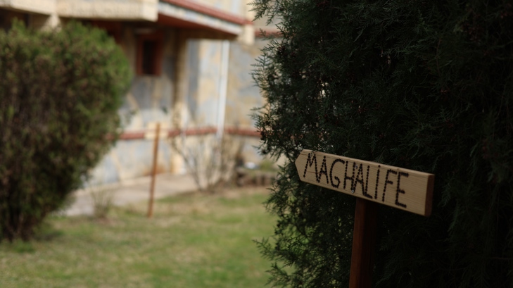 MaghaLife 